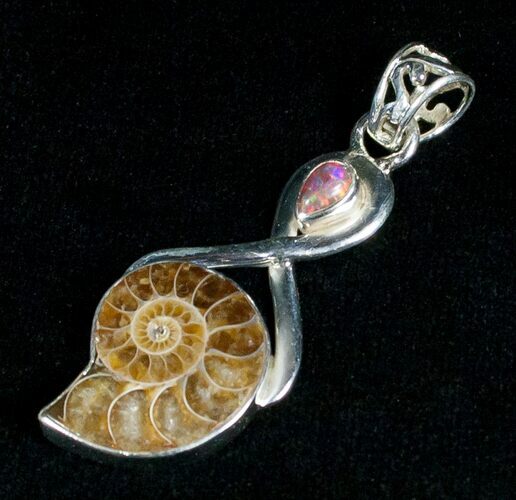 Sterling Silver Ammonite Pendant #5123